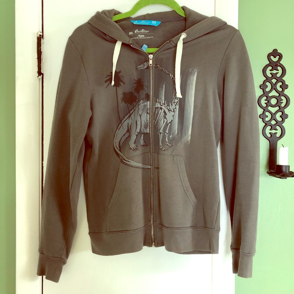 Dinosaur “Through the Ages” Hoodie